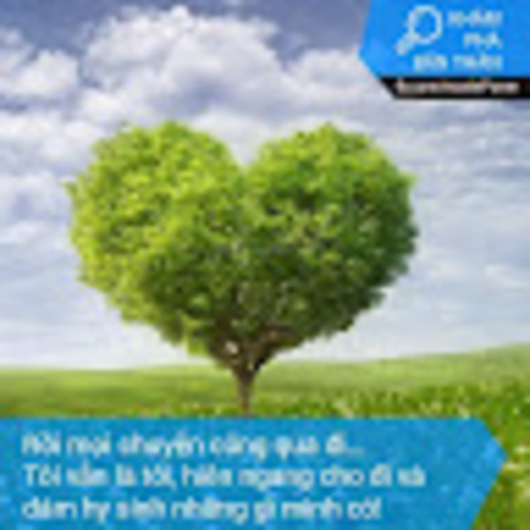 tranthien241196
